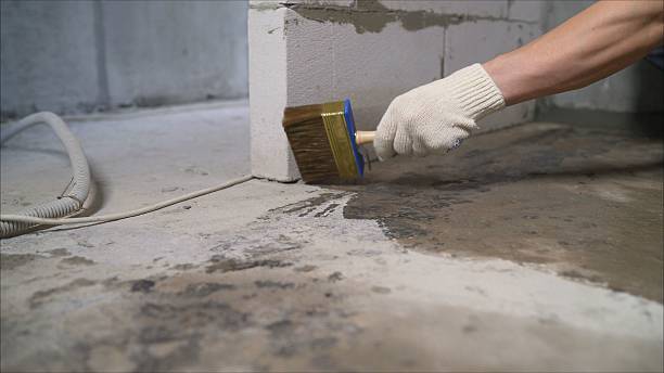 SJ Waterproofing Pros Waterproofing coverage map for Coalfield, TN and surrounding area